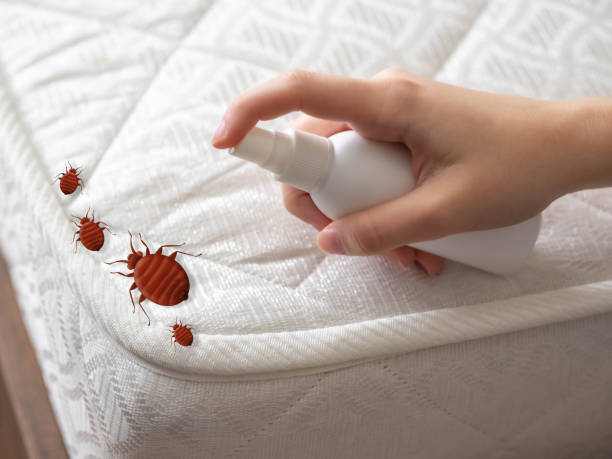 Best Pest Control for Multi-Family Homes  in Melrose Park, NY